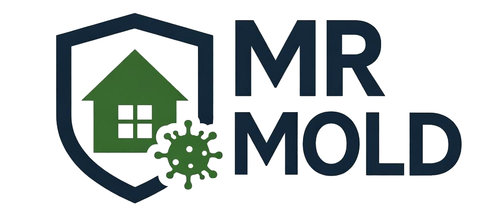 MR MOLD SERVICES